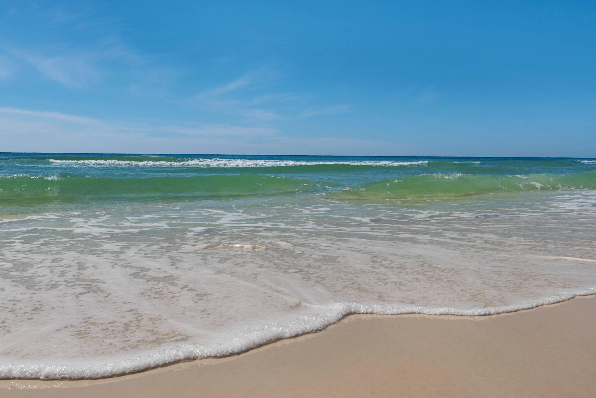 Green Turtle House - Image 29