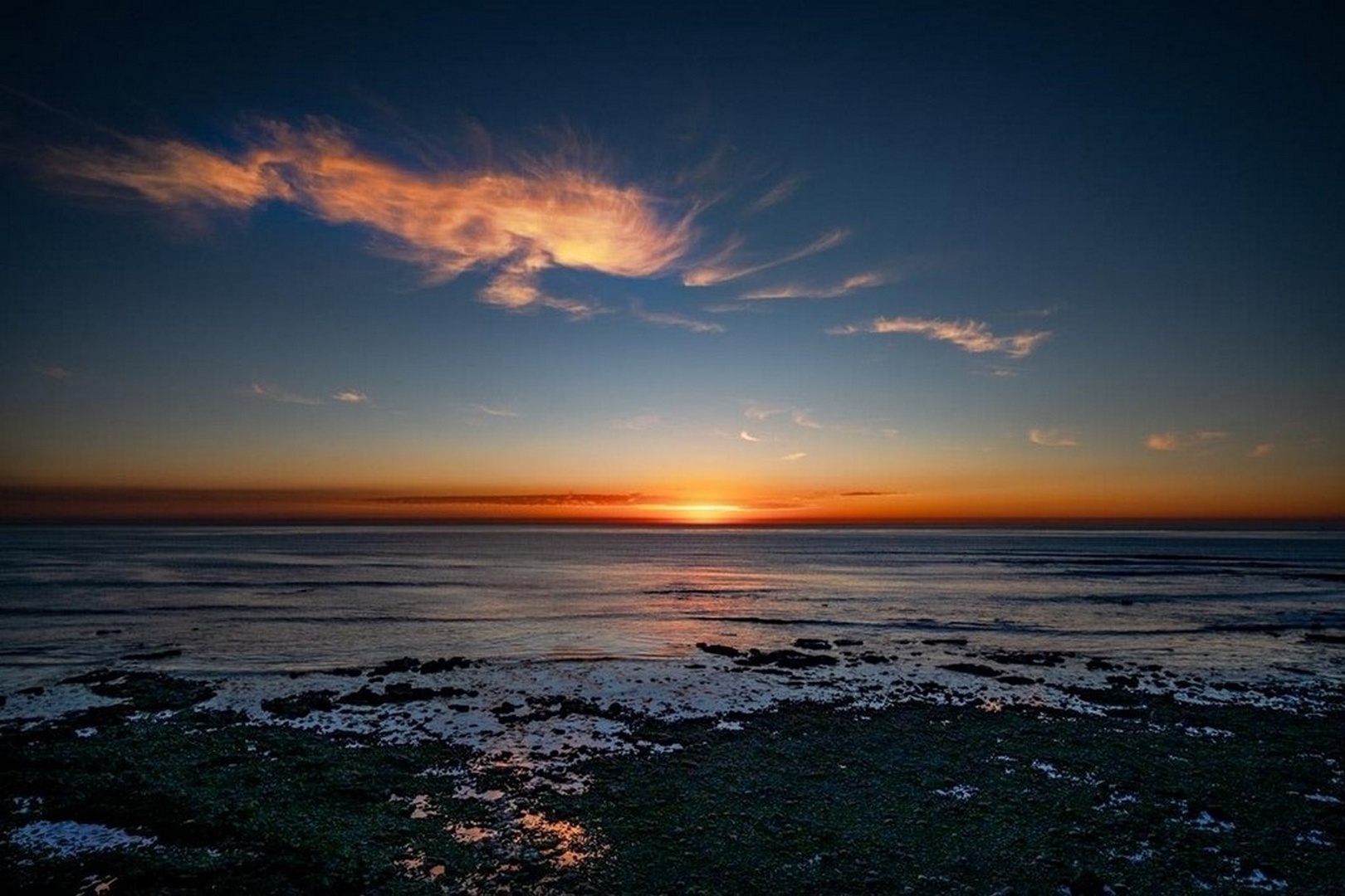 Sand Dollar Home - Image 29