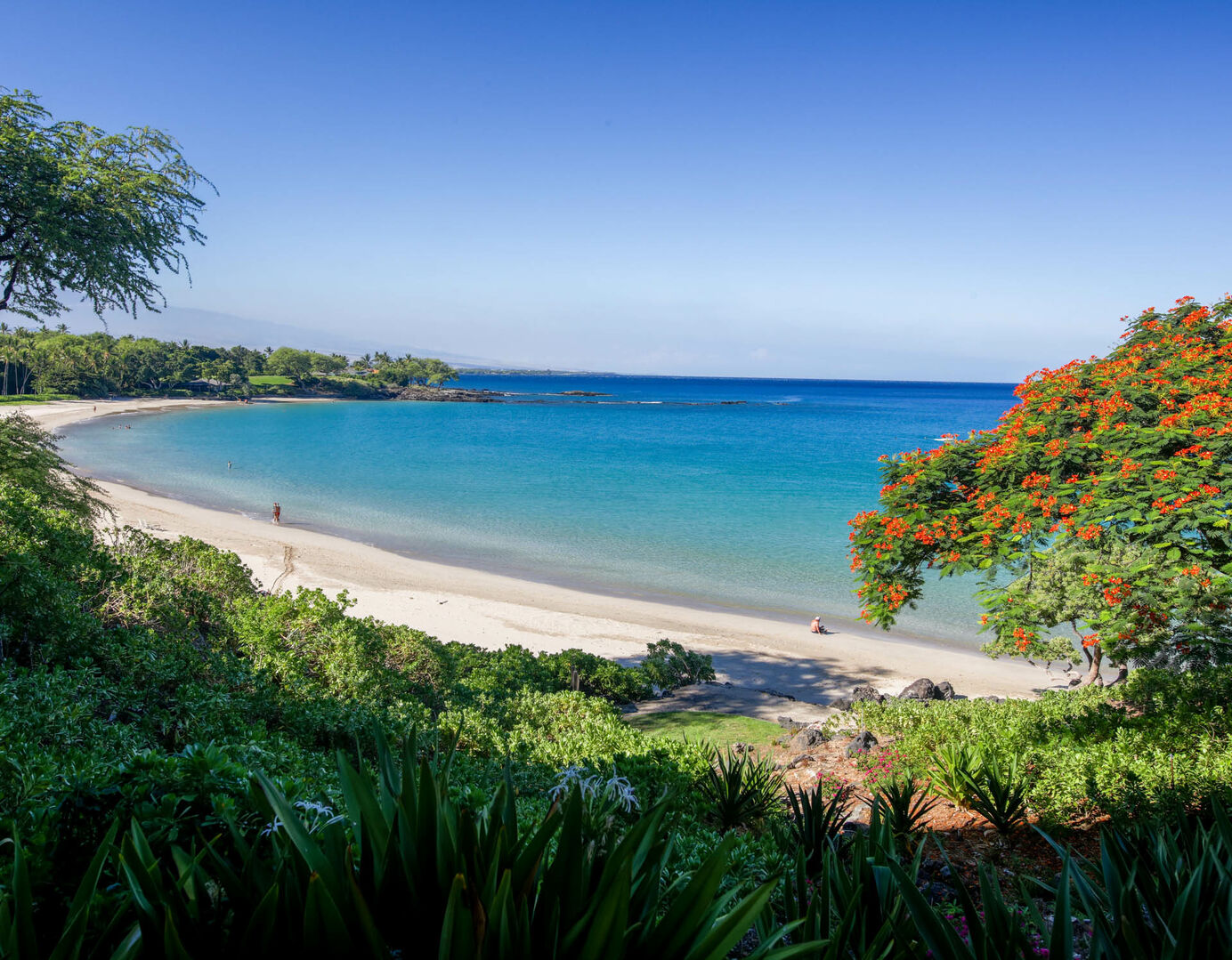 Aloha Shores - Image 49