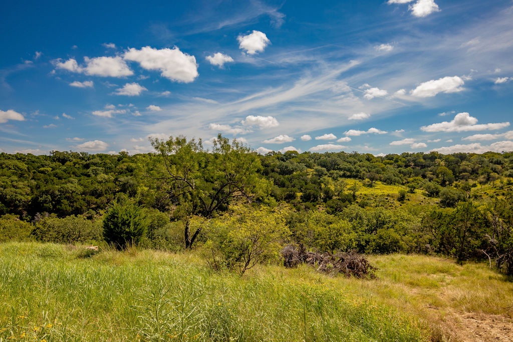 Live Oak Home - Image 37