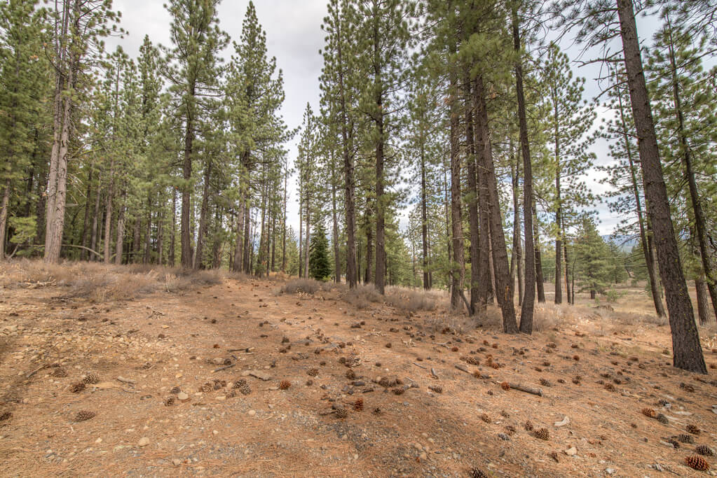 Sugar Pine Home - Image 36