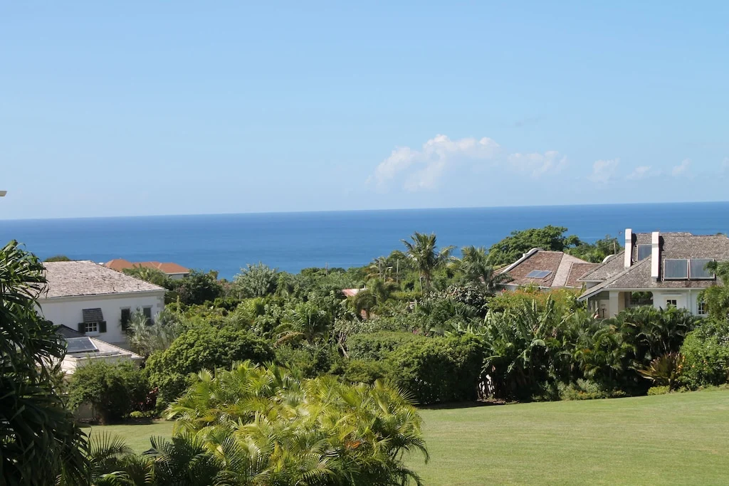 Olive Home - Image 14