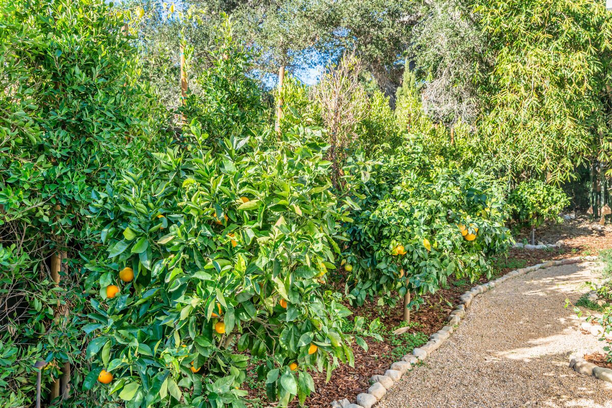 Loureyro Home - Image 33