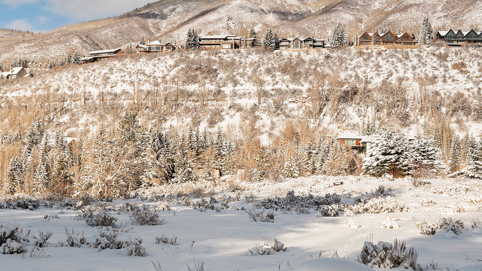 Fork Home - Image 40