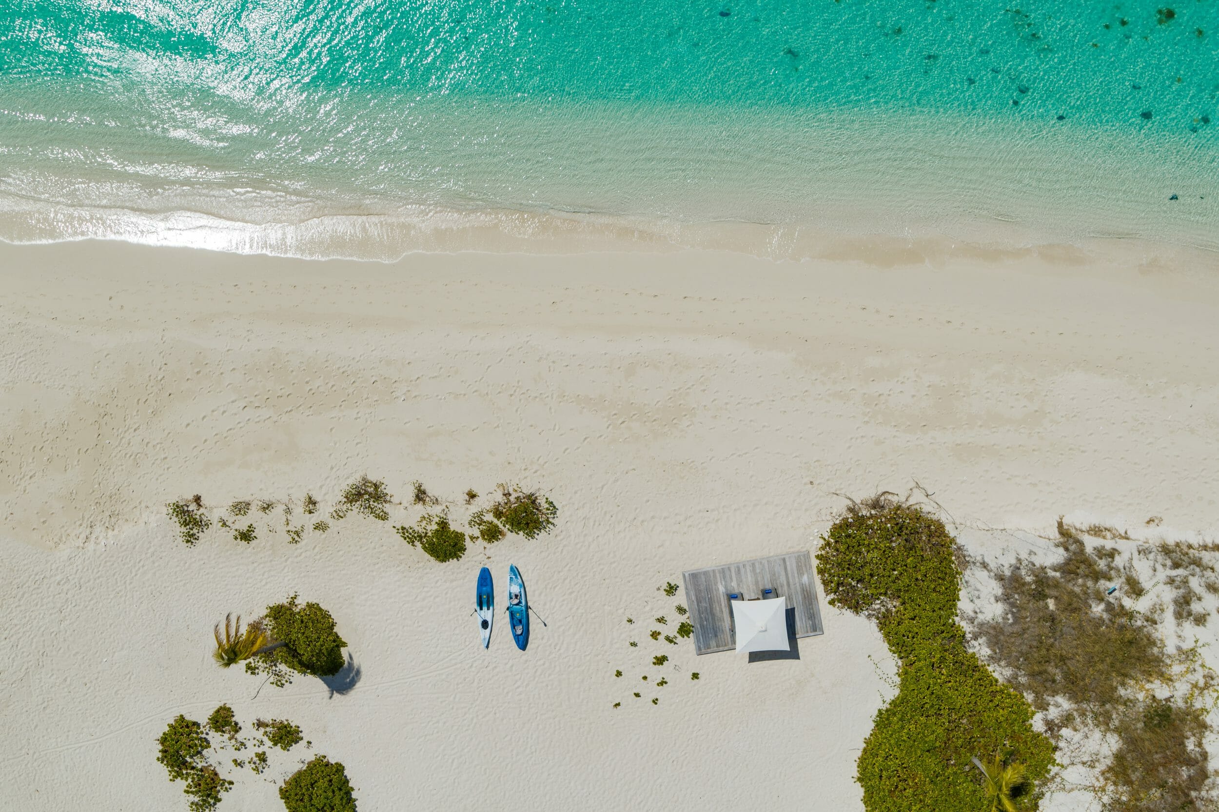 Dolphin House - Image 22