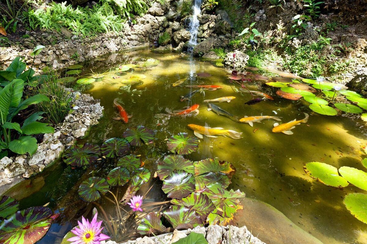 Wisteria Manor - Image 40