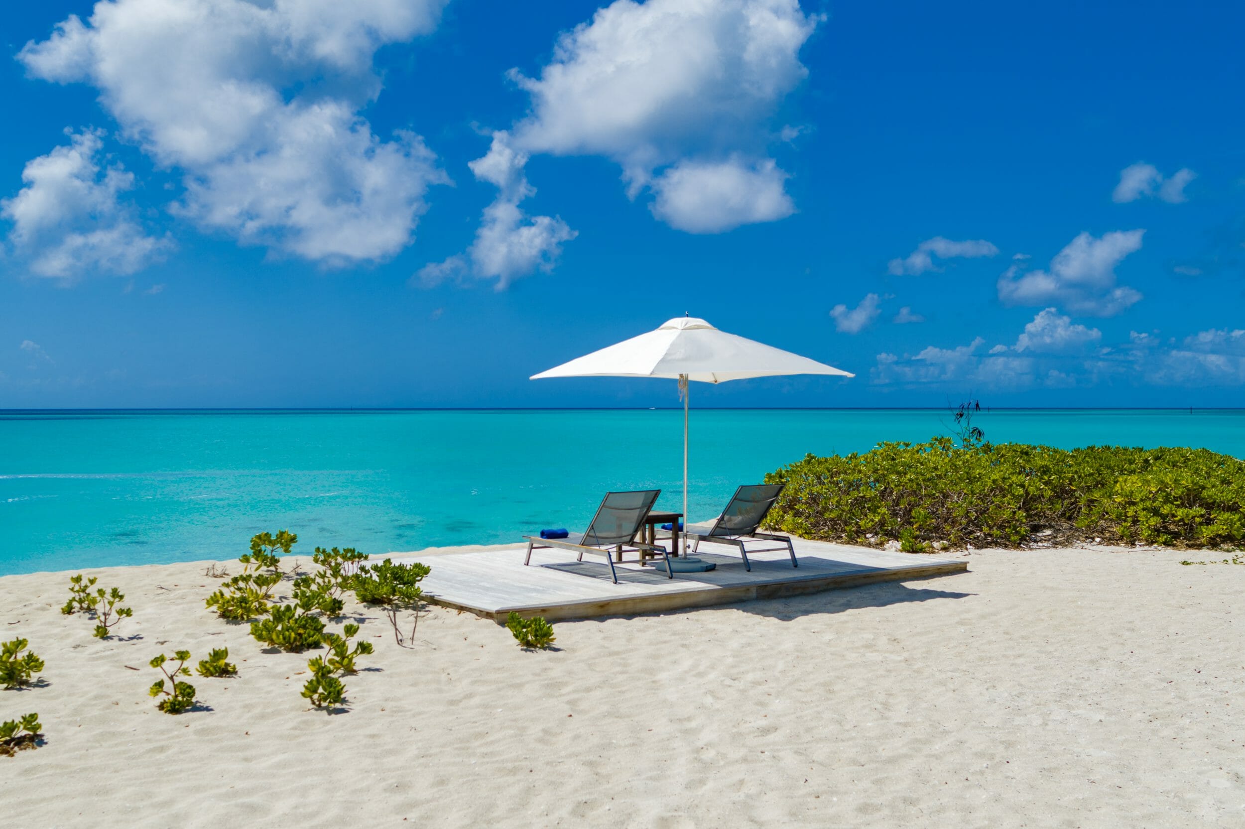 Dolphin House - Image 25