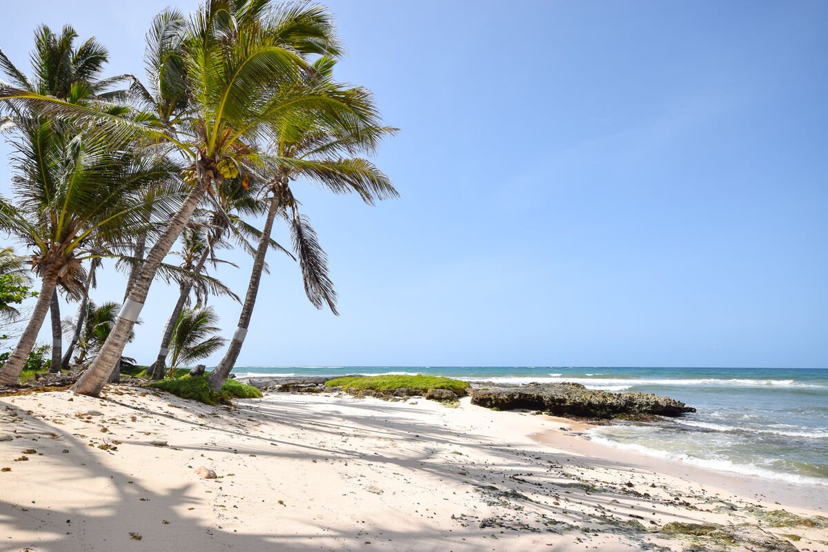 Barclaya Manor - Image 22