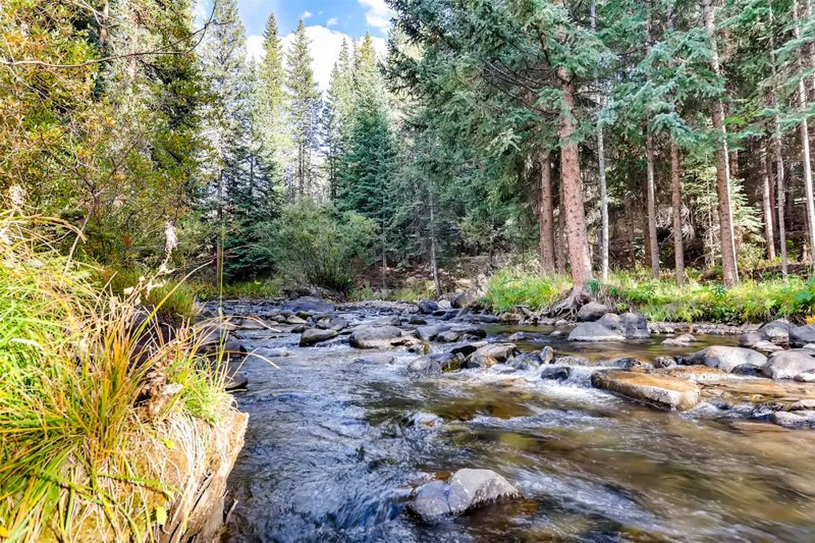 River House - Image 17