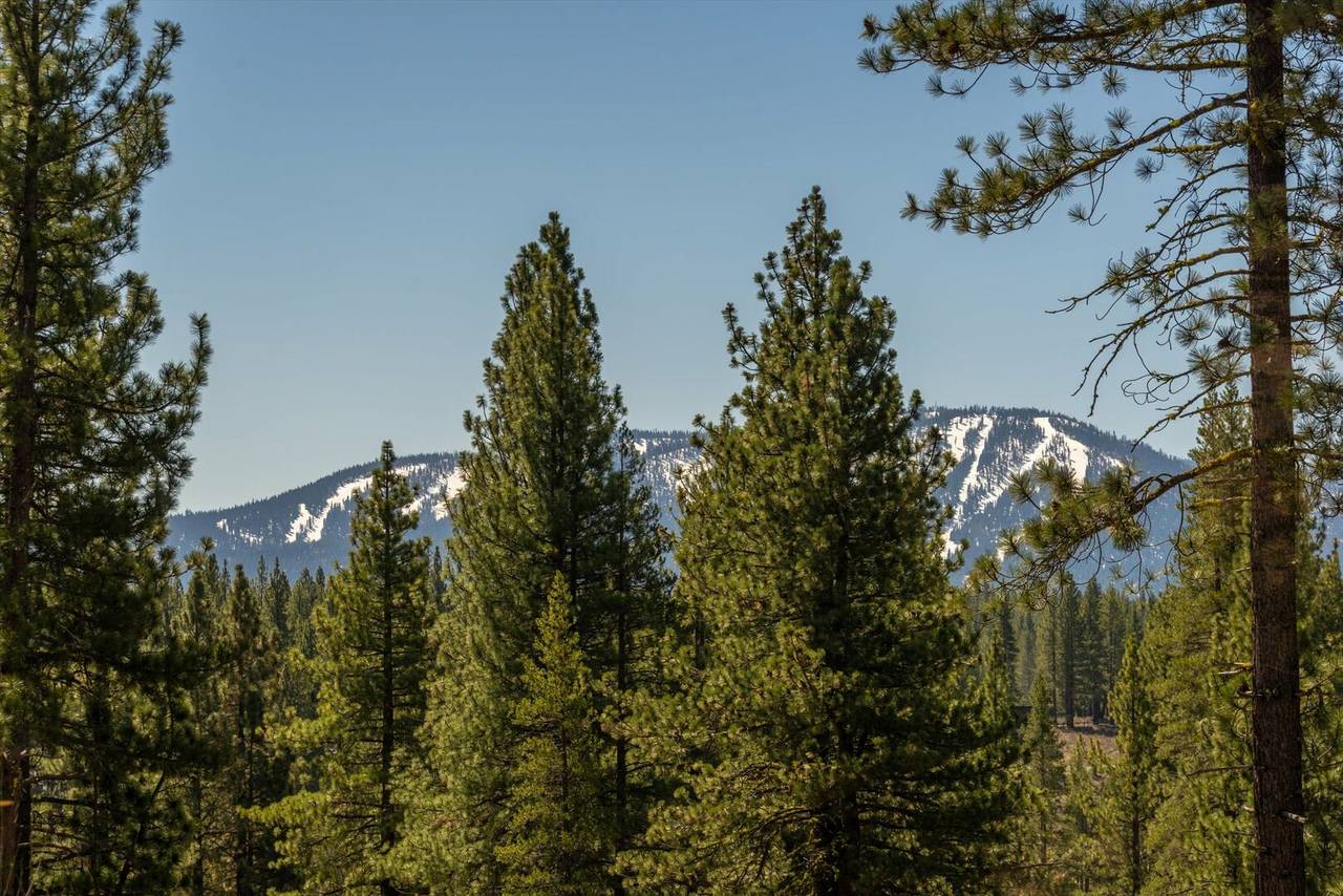 Jacobson House - Image 25