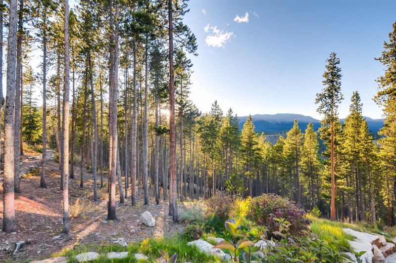 Peerless Manor - Image 28