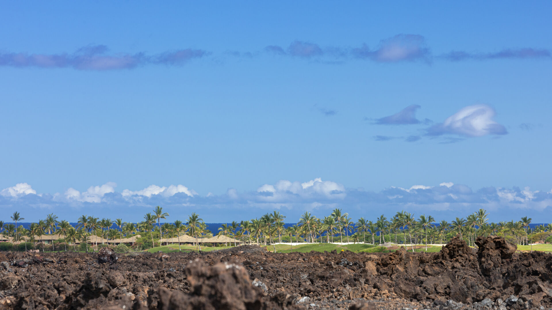 Aloha Shores - Image 48