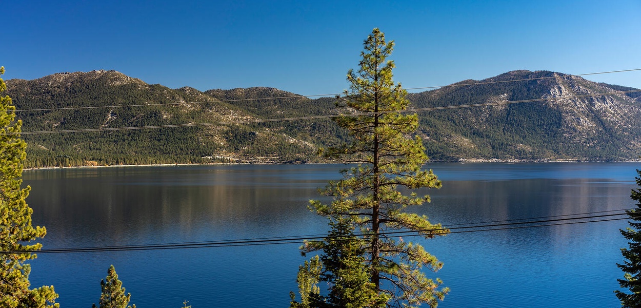 Pine Nut Home - Image 31