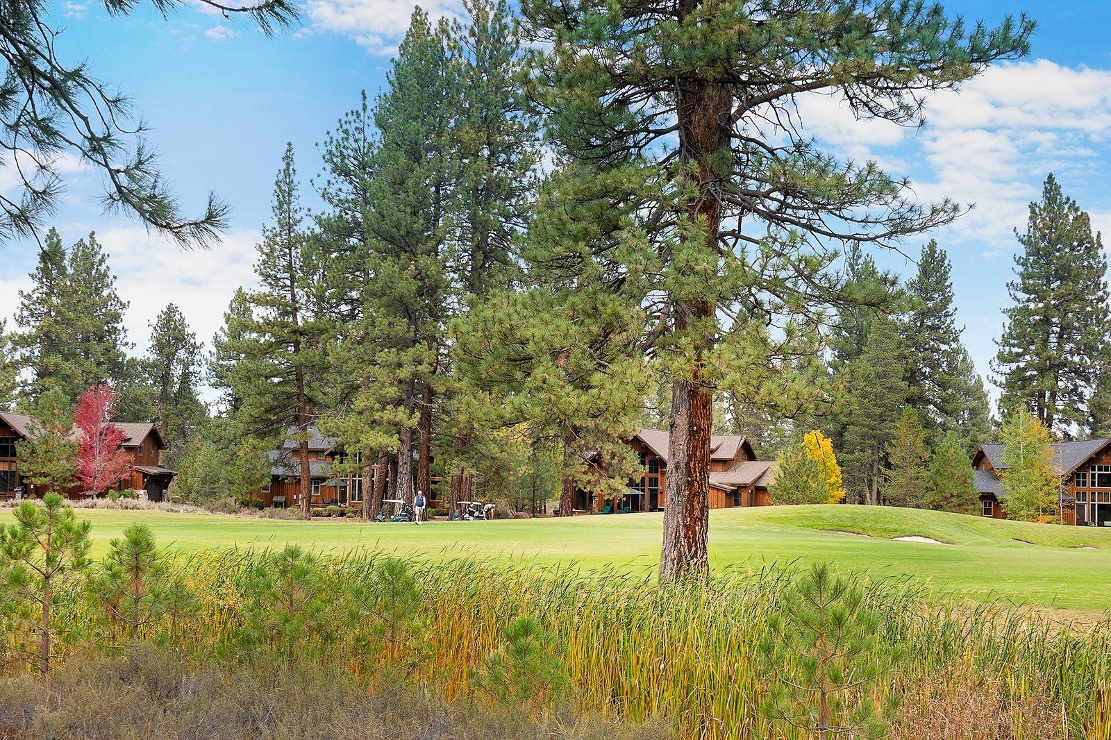 Trail House - Image 30