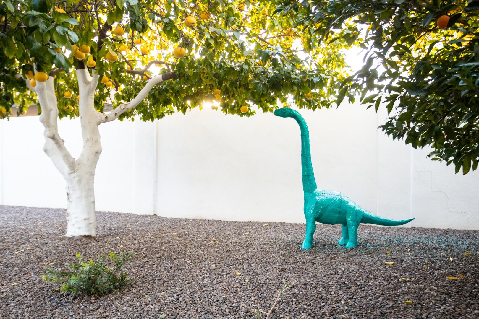 Hazel Home - Image 19