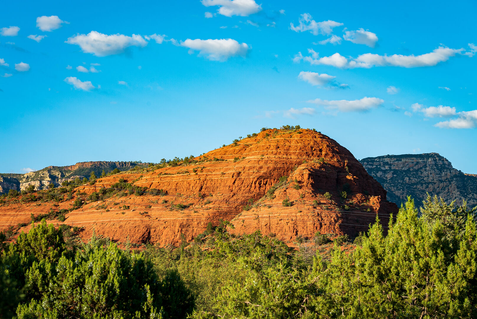 Mueller Home - Image 47