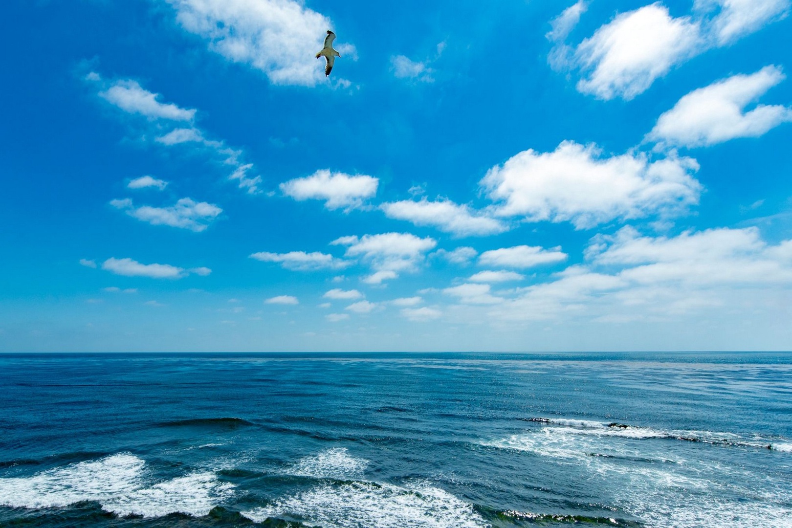 Dolphin Home - Image 19