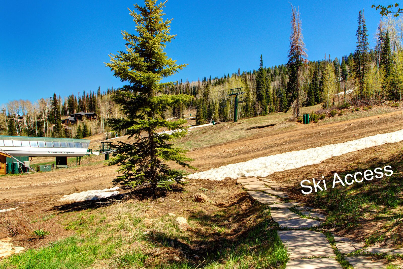 Star House - Image 50